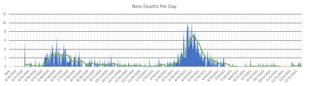 Qatar Deaths Per Day