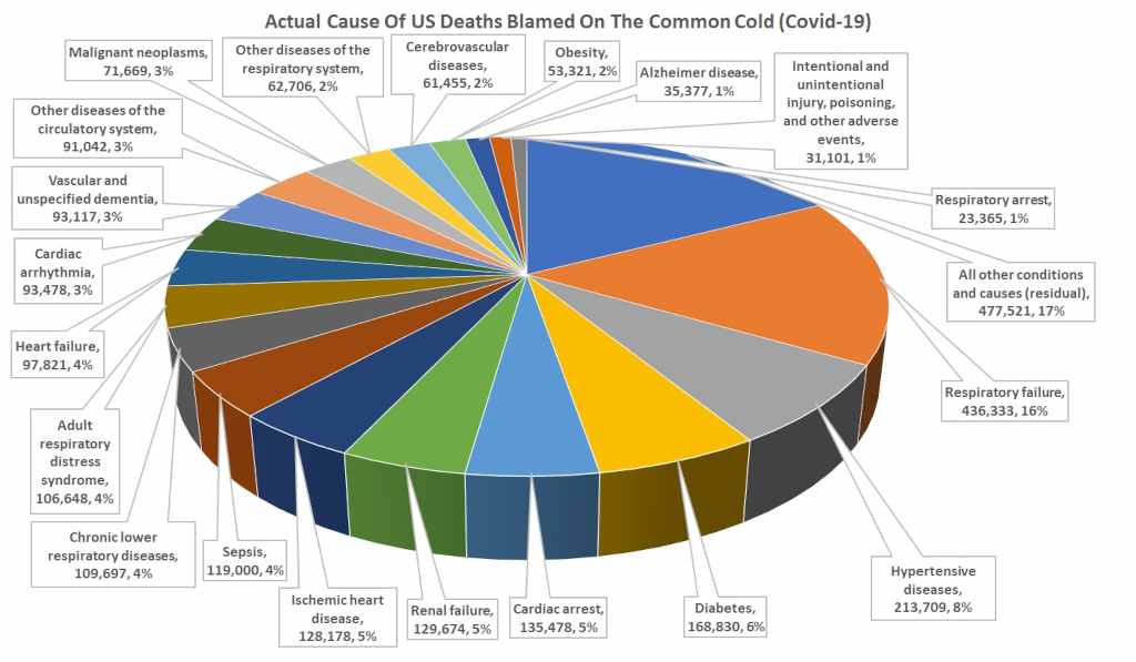 Covid-19 Death Causes